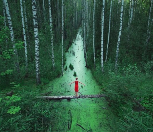 北京车展的一百万种表情