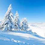 顶级设计能否带领自主品牌走向光明?