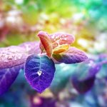 别克威朗身陷多重埋伏之中