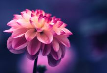 证监会主席易会满:注册制改革必须坚持三个原则