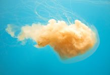 收益率下行,理财产品怎么买