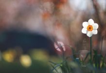 厅长“搭台” 校长“带货” 在湖北,科技成果这样“卖”