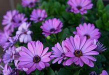 今后三天南方强降雨再度“上线” 北方降雨降温齐至