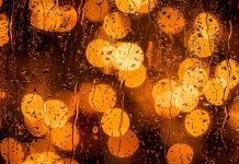 “仔猪卖到成猪价”,给养猪业传递何种信号