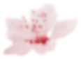 1 (Demo)