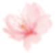 2 (Demo)
