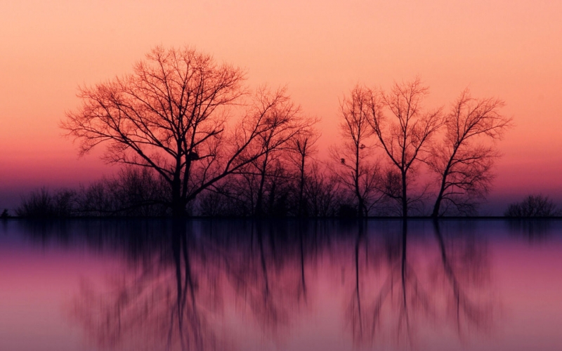 设计过程当中每一个结构